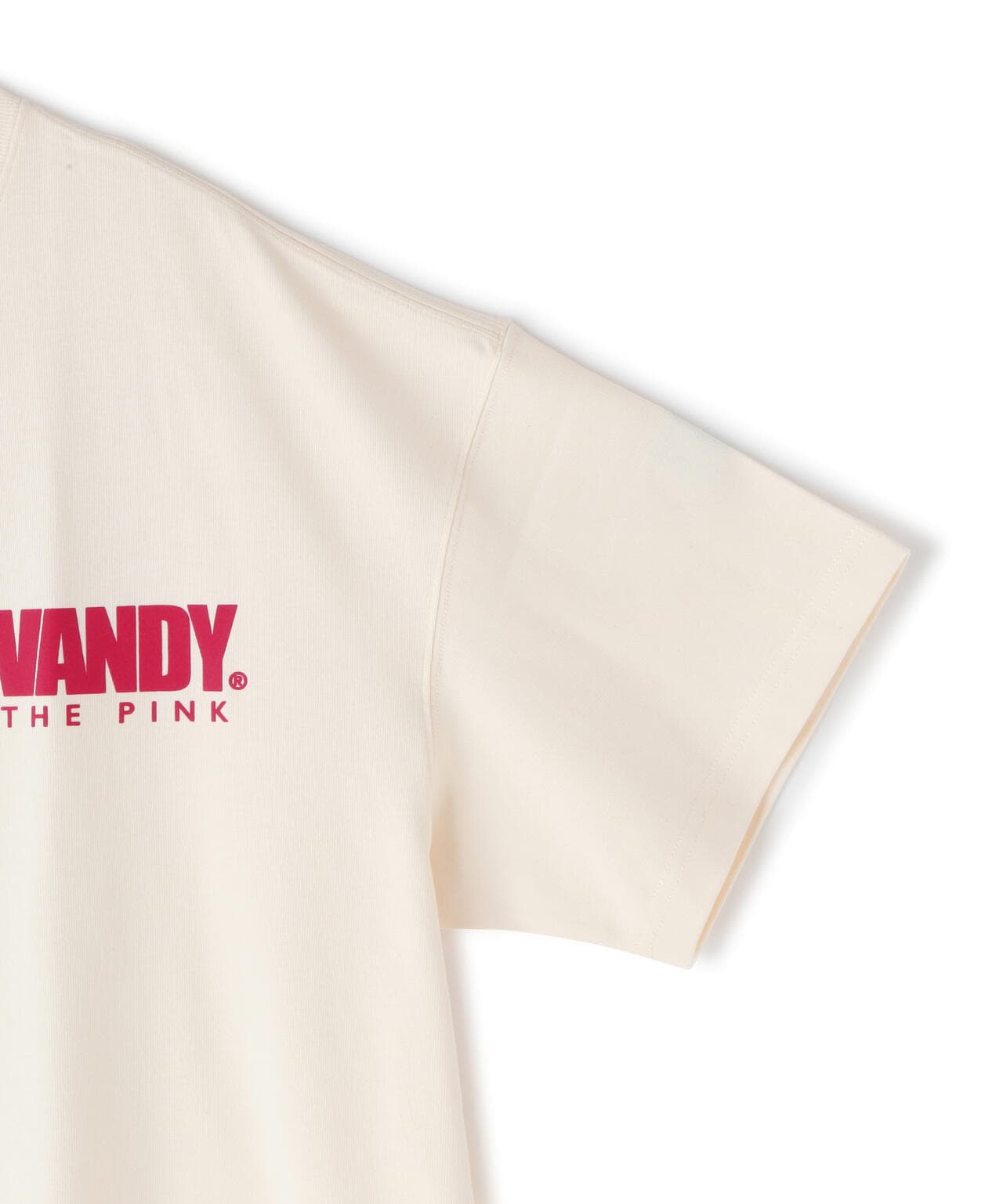 VandyThePink/ヴァンディーザピンク/ANIME TEE/アニメTシャツ | LHP