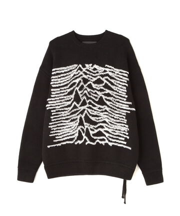 DankeSchon/ダンケシェーン/RV CREWNECK KNIT PULSE