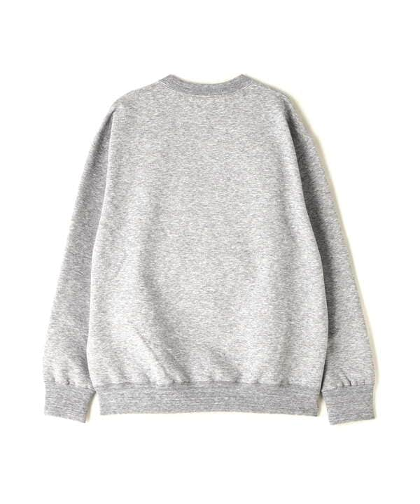 THE NORTH FACE/ザ・ノースフェイス/SMALL LOGO HEATHER SWEAT CREW