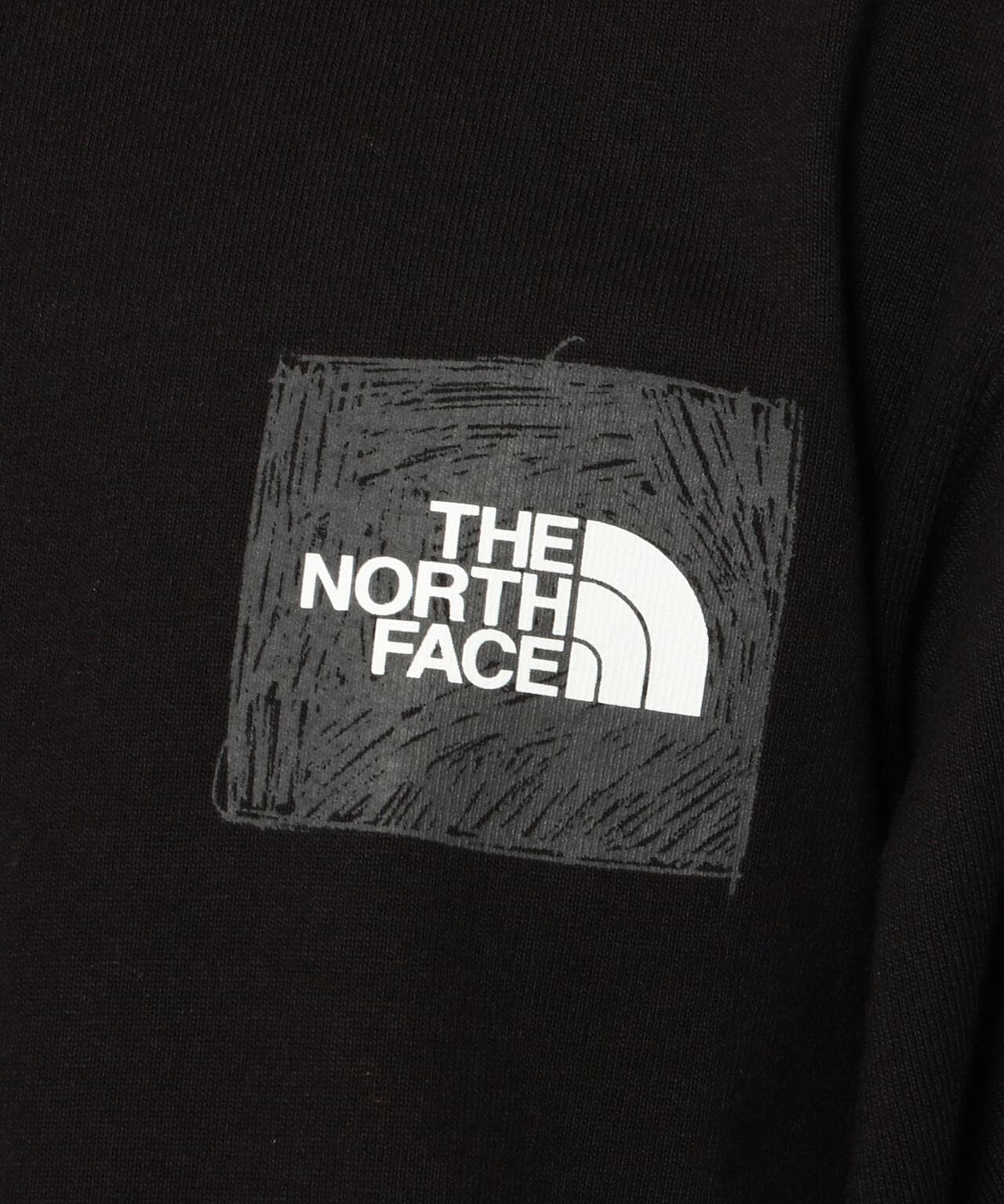 THE NORTH FACE/ザ・ノースフェイス L/S Sleeve Graphic Tee ロング