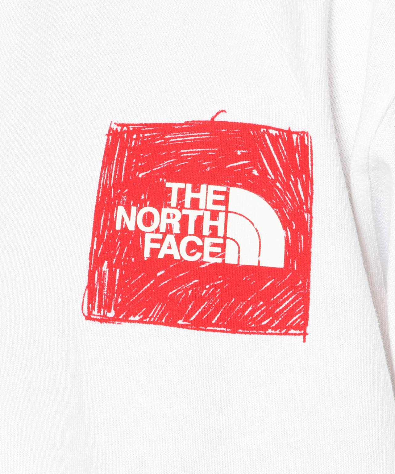 THE NORTH FACE/ザ・ノースフェイス L/S Sleeve Graphic Tee ロング