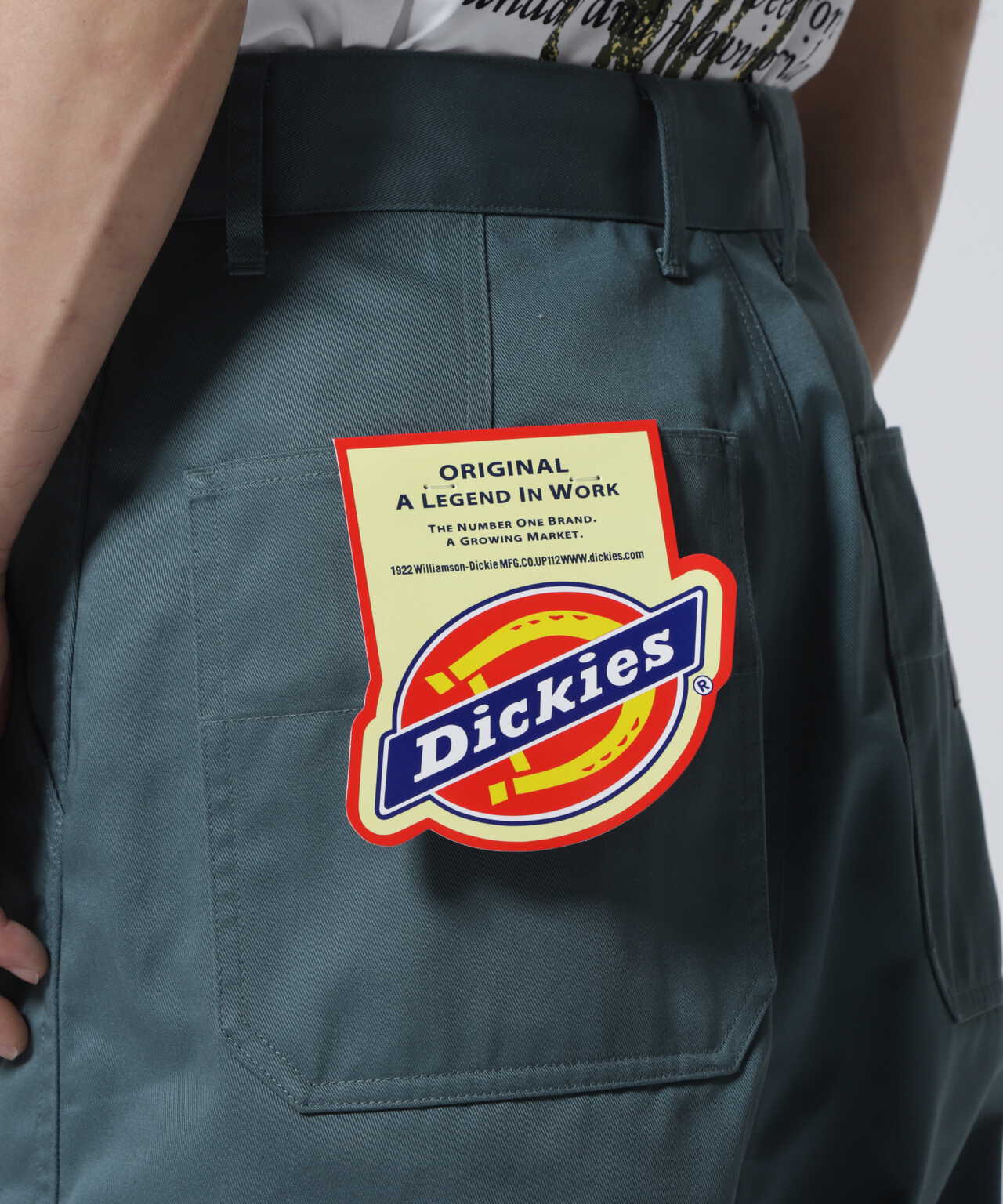 ISAMUKATAYAMA BACKLASH×Dickies /ペインターＰＴ