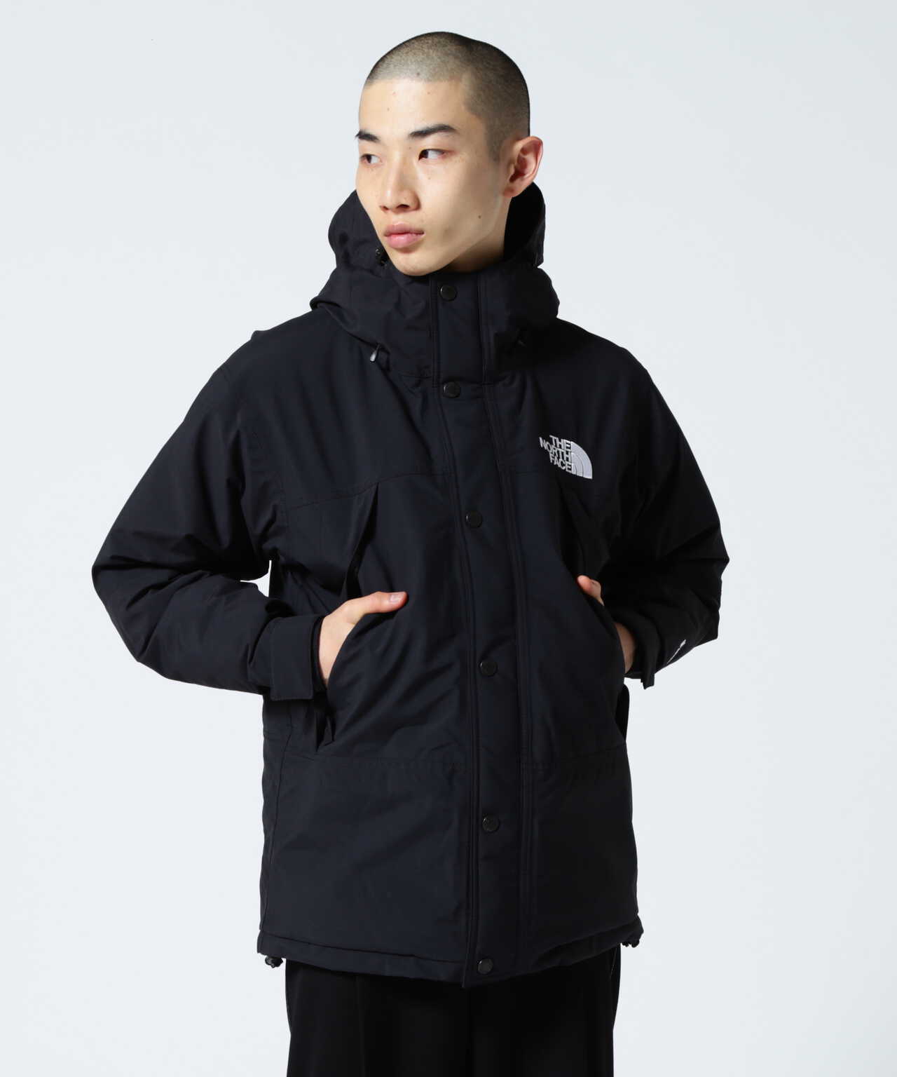 THE NORTH FACE Mountain ダウンジャケット | www.innoveering.net