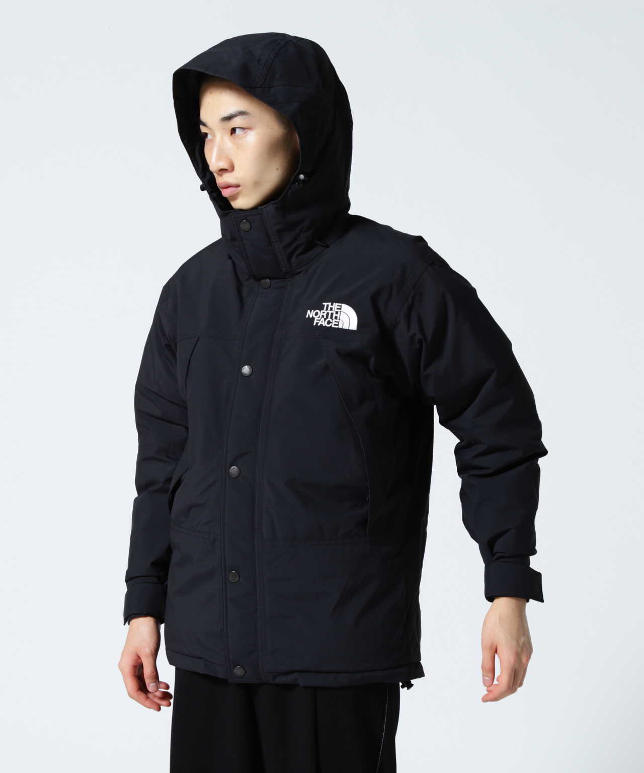 M THE NORTH FACE Mountain Down Jacket BE | tradexautomotive.com