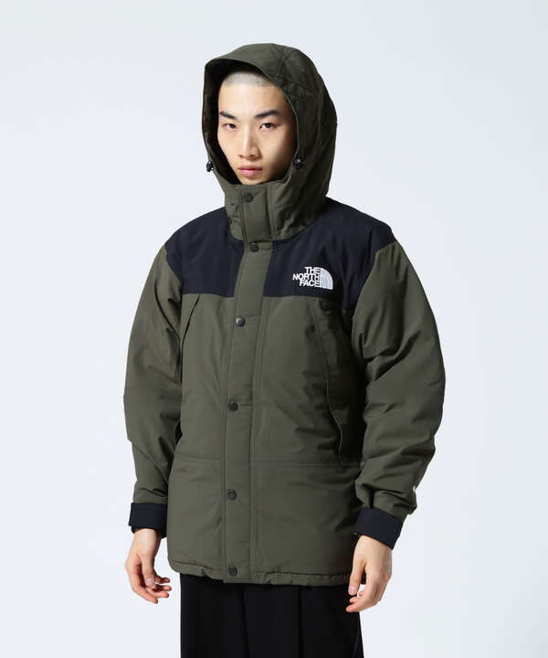 THE NORTH FACE MOUNTAIN DOWNJACKET素材柄GO