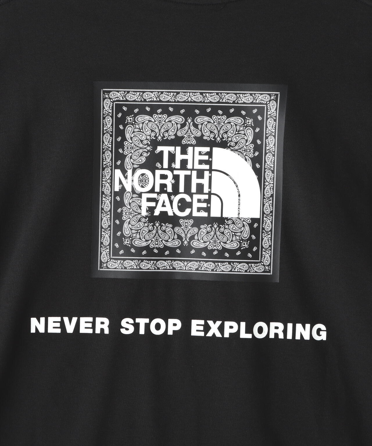 THE NORTH FACE/S/S Bandana Square Logo Tee | B'2nd ( ビーセカンド ) | US ONLINE  STORE（US オンラインストア）