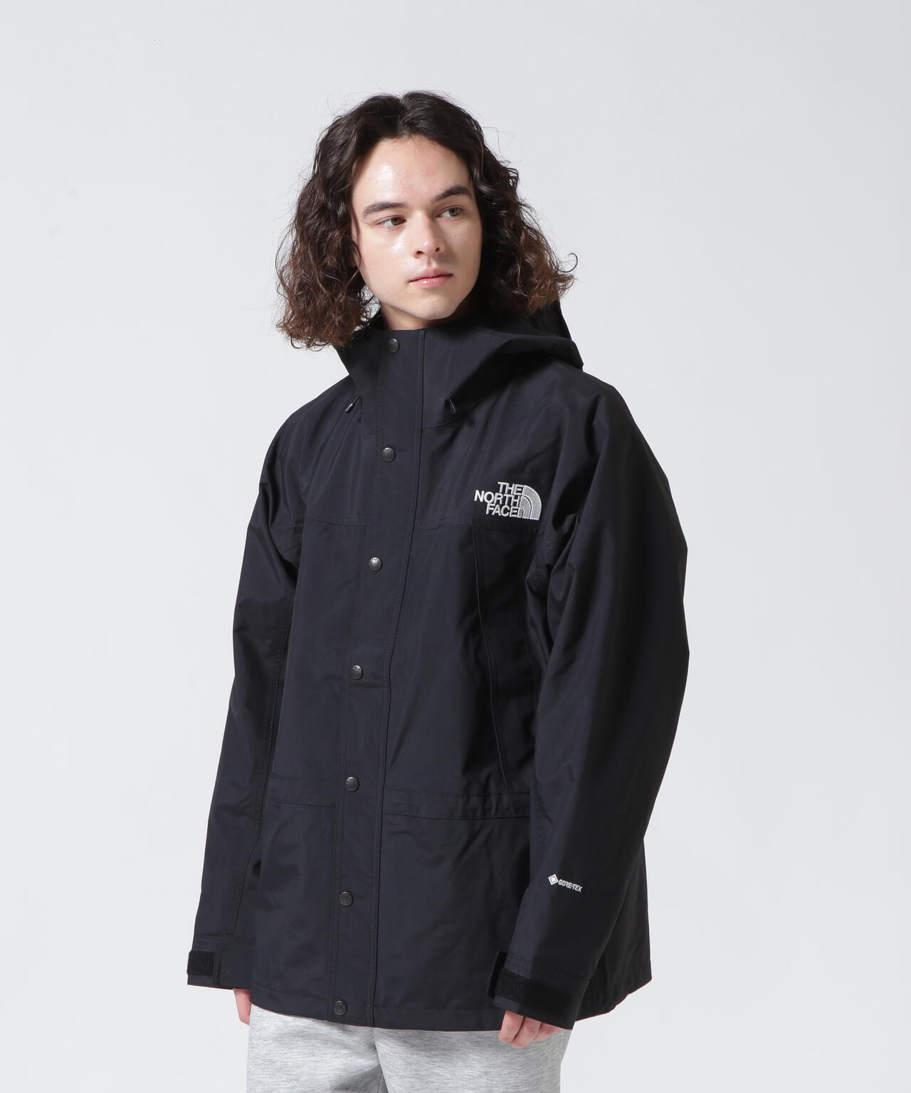 THE NORTH FACE(ザ・ノース・フェイス) Mountain Light Jacket 