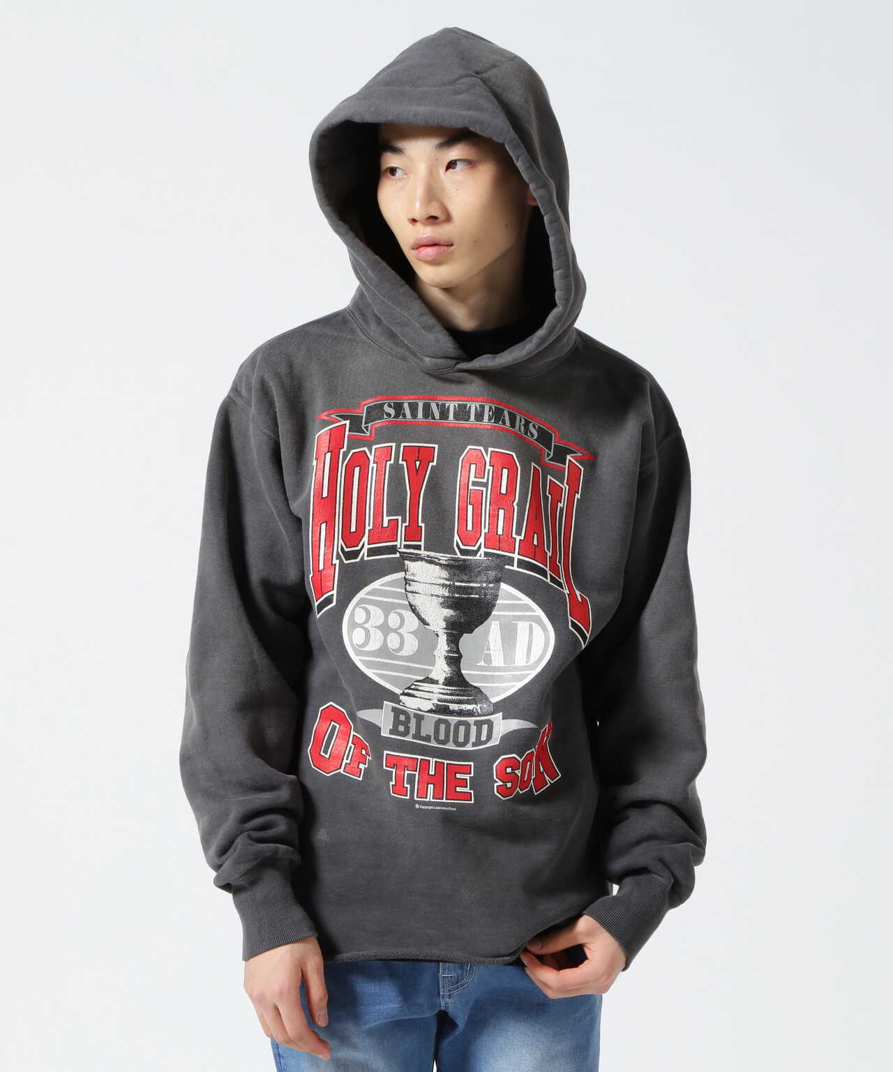 SAINT MICHAEL セントマイケル Holy Grail Hoodie-