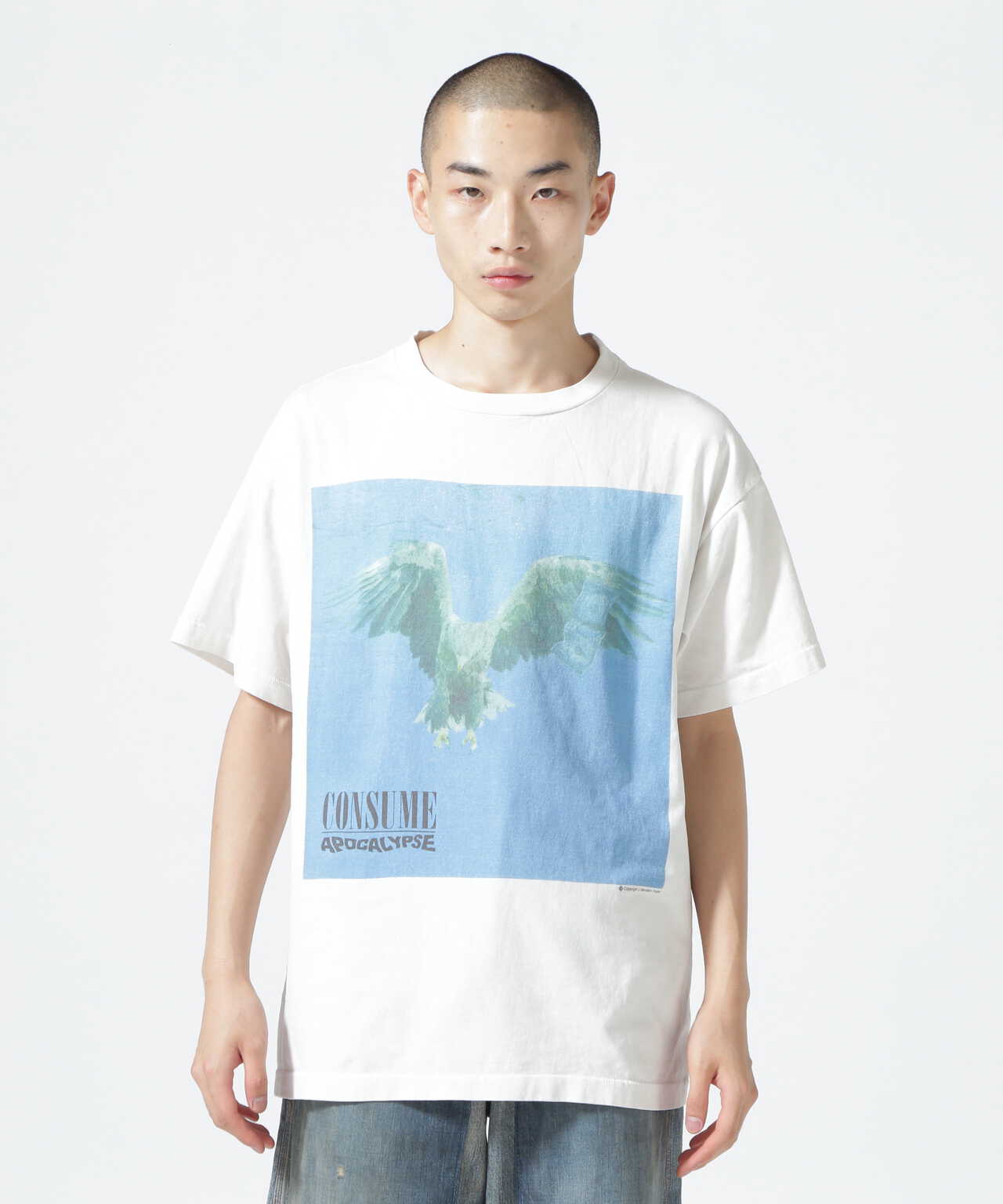 SAINT MICHAEL/セント マイケル/FS_SS T-SHIRT/CONSUME/WHITE | ROYAL ...