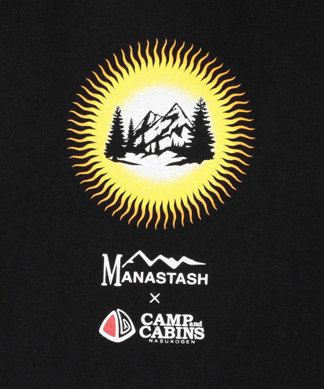 MANASTASH/マナスタッシュ　PERFECT IN NATURE TEE for CAMP and CABINS