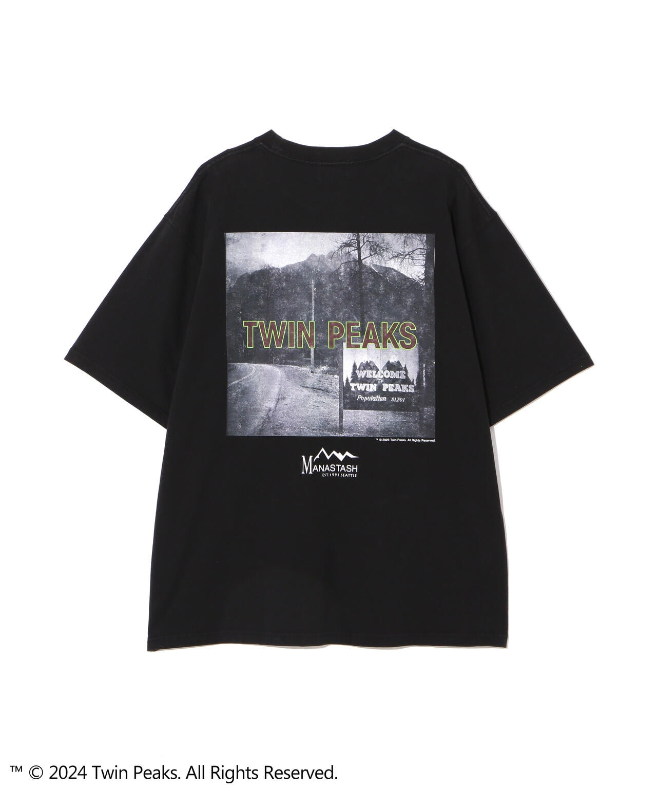 MANASTASH/マナスタッシュ/TWIN PEAKS TEE 02/ツイン・ピークスTシャツ02