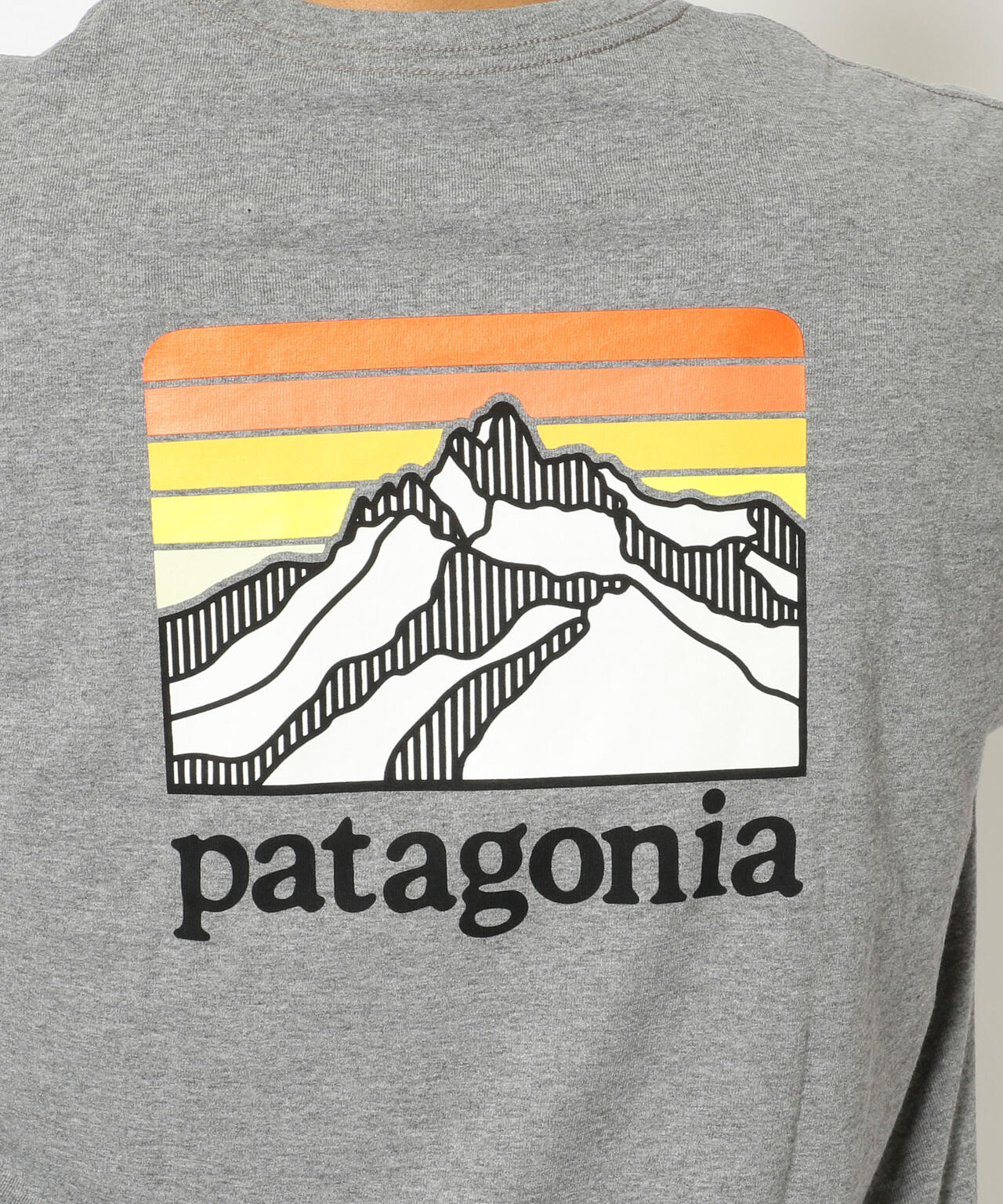 Patagonia/パタゴニア メンズ・ロングスリーブ・ライン・ロゴ・リッジ 