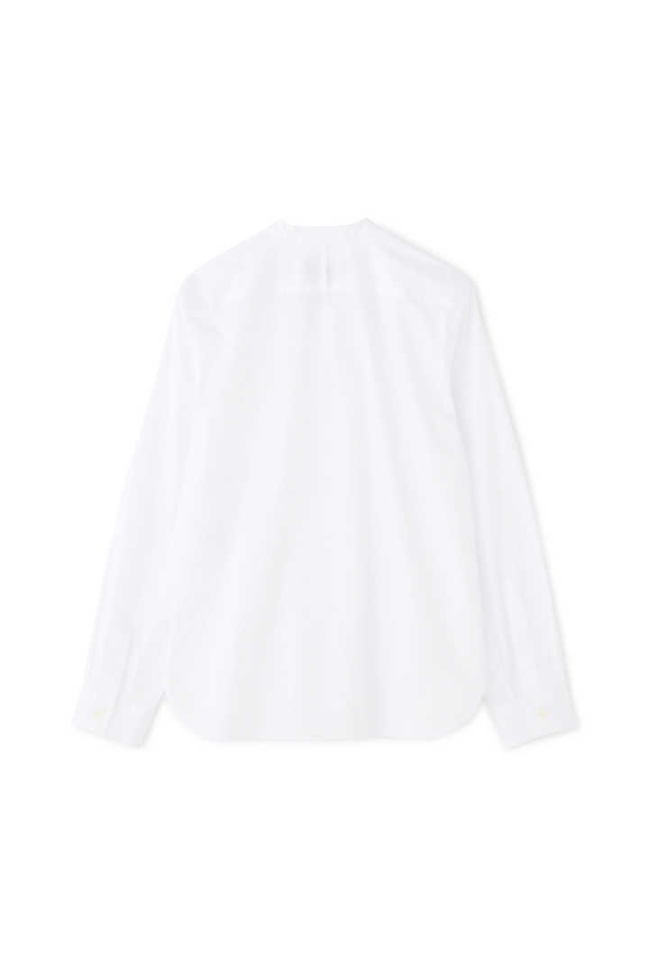 CHINTZ COTTON2