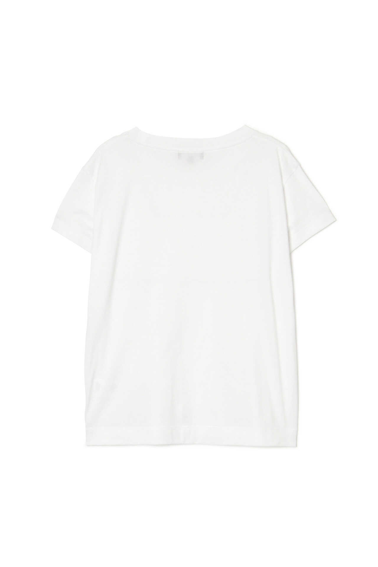 PLAIN COTTON JERSEY8
