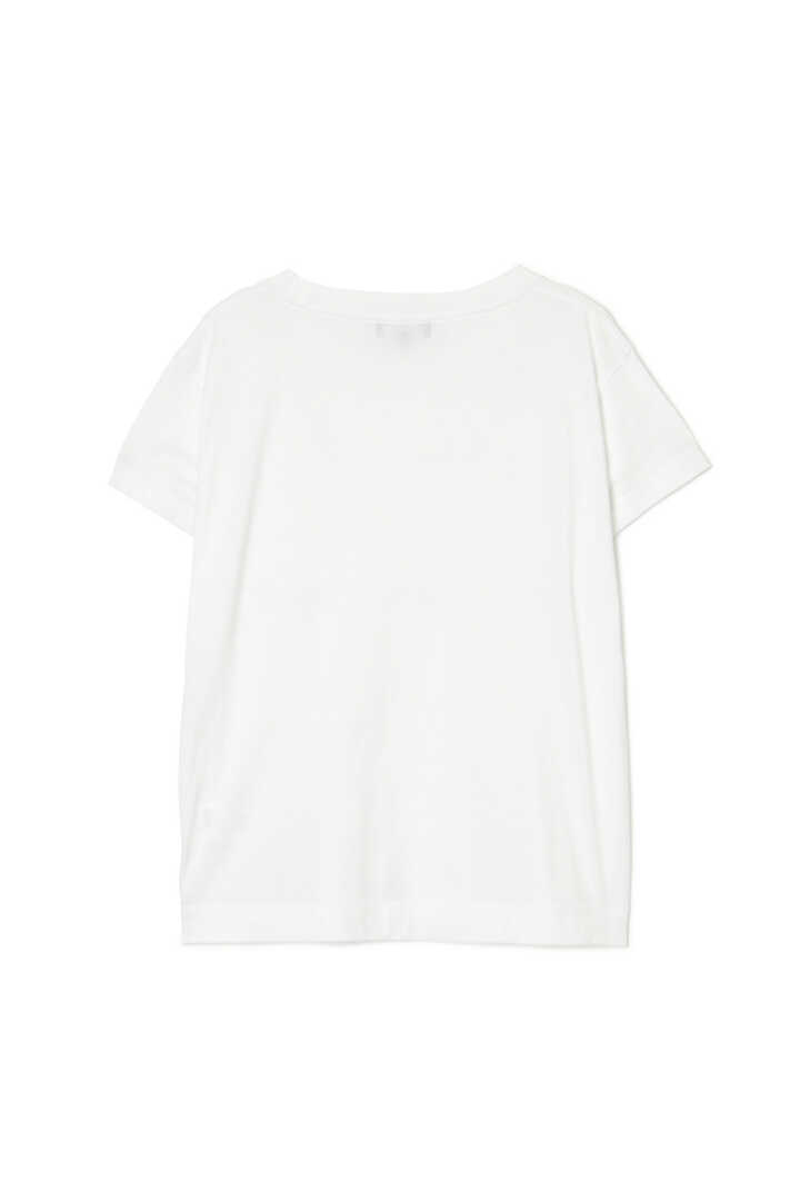 PLAIN COTTON JERSEY2