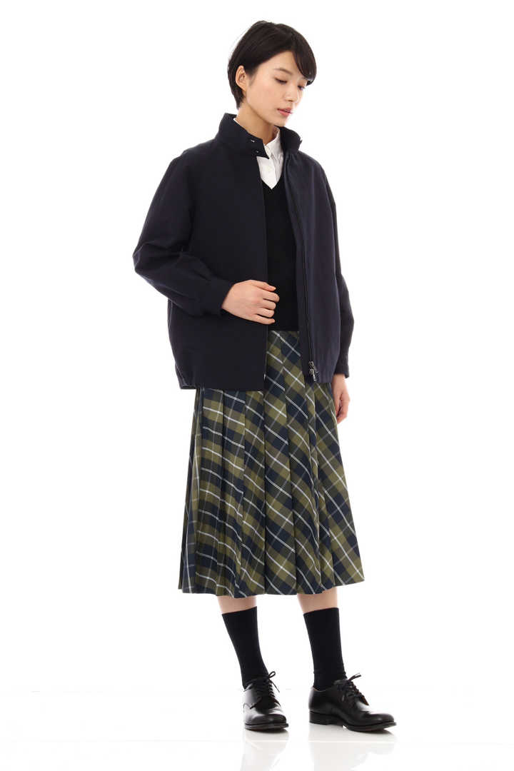 WINDOWPANE CHECK