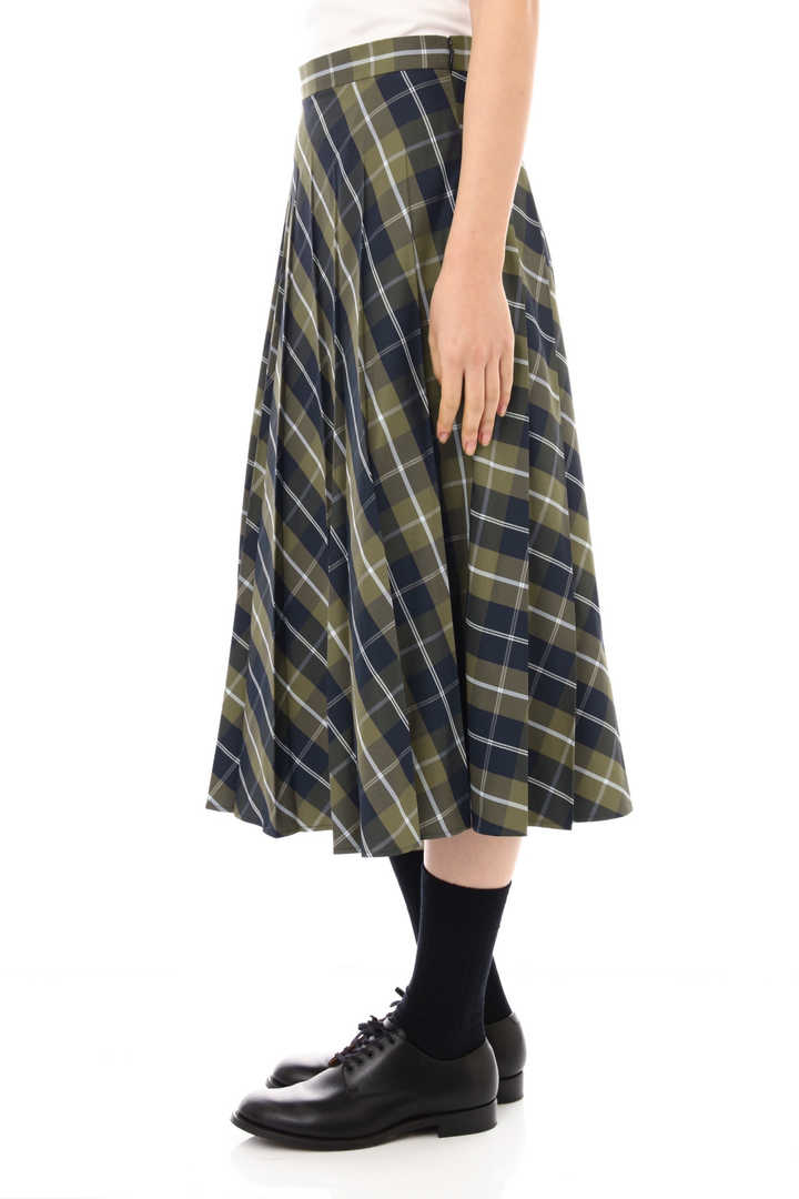 WINDOWPANE CHECK