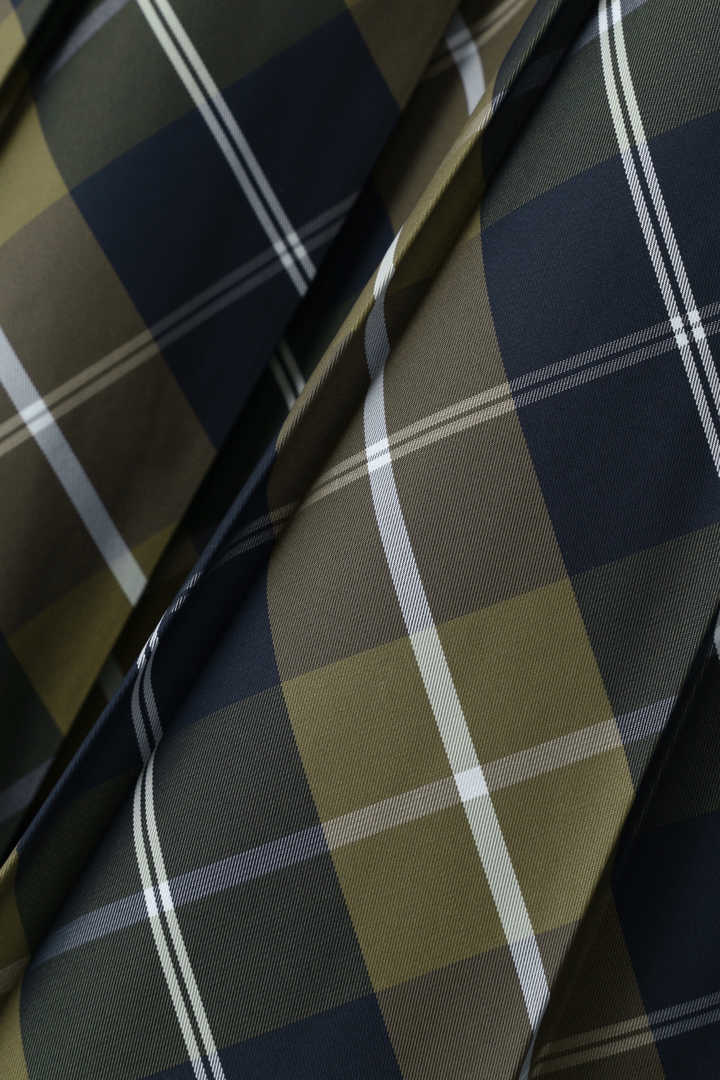 WINDOWPANE CHECK