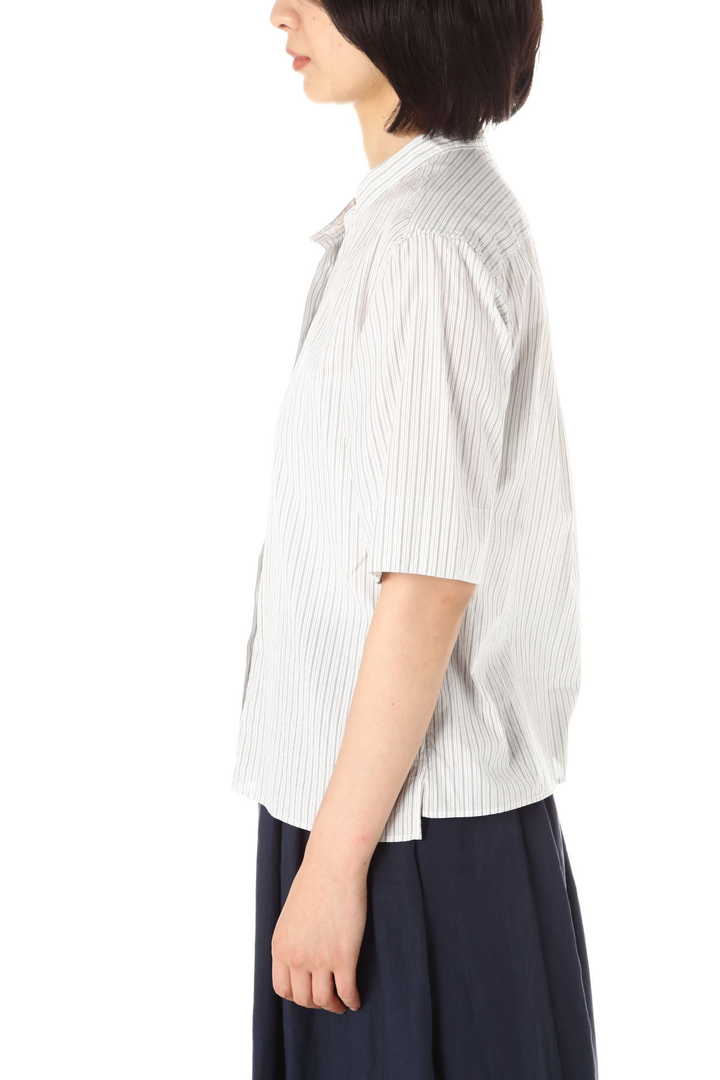 STRIPE FINE COTTON
