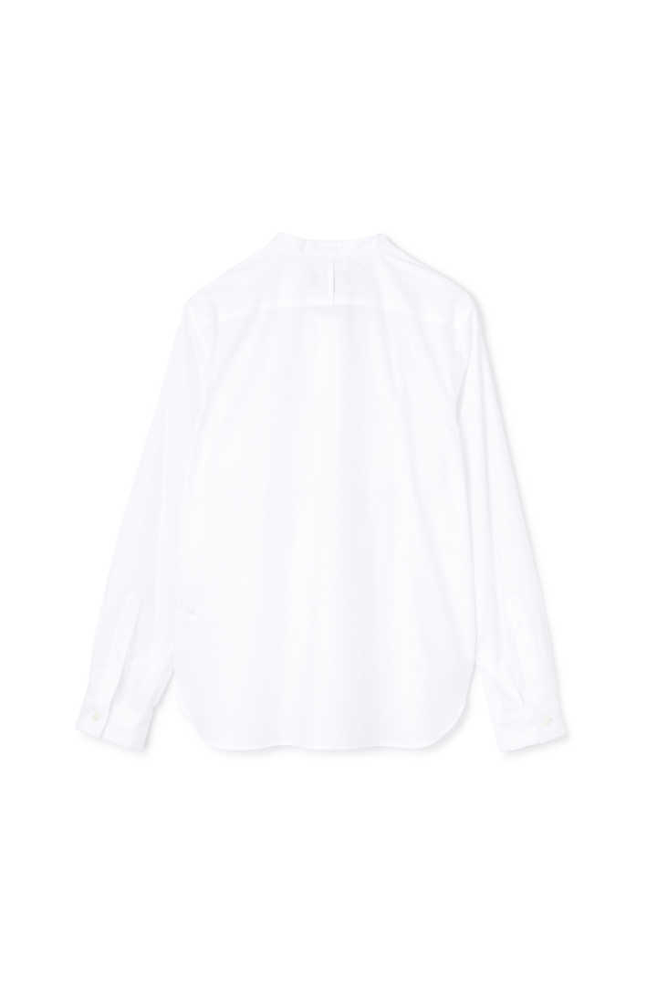 CHINTZ COTTON