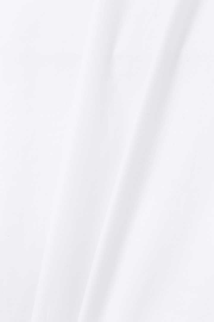CHINTZ COTTON