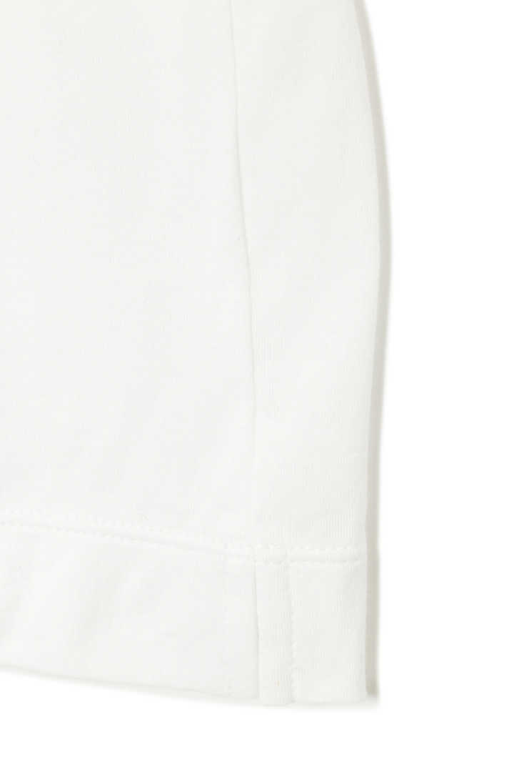 PLAIN COTTON JERSEY