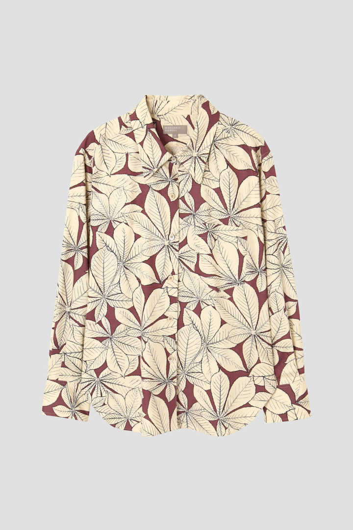 HORSE CHESTNUT SILK1