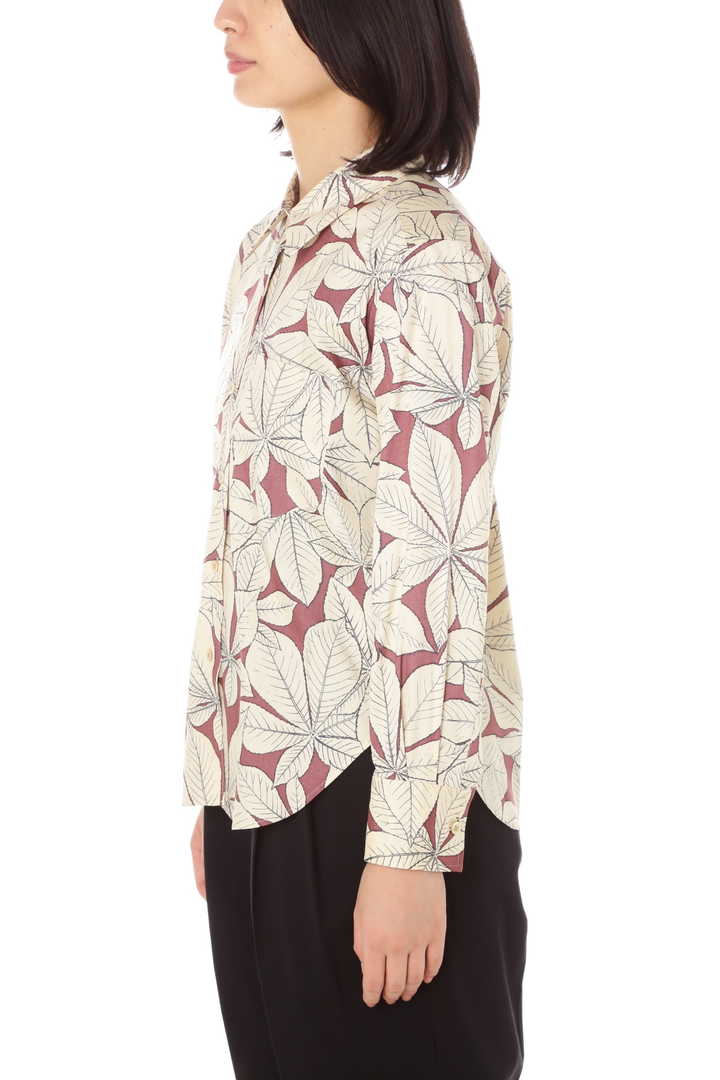 HORSE CHESTNUT SILK4