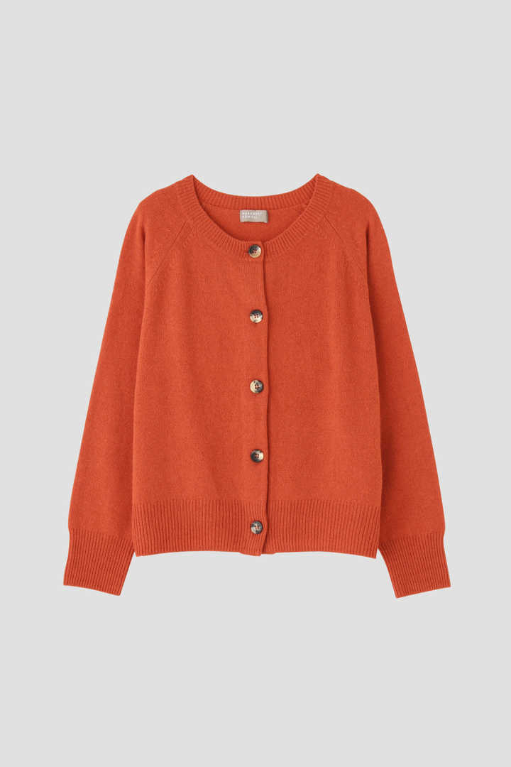 WOOL CASHMERE KNIT1