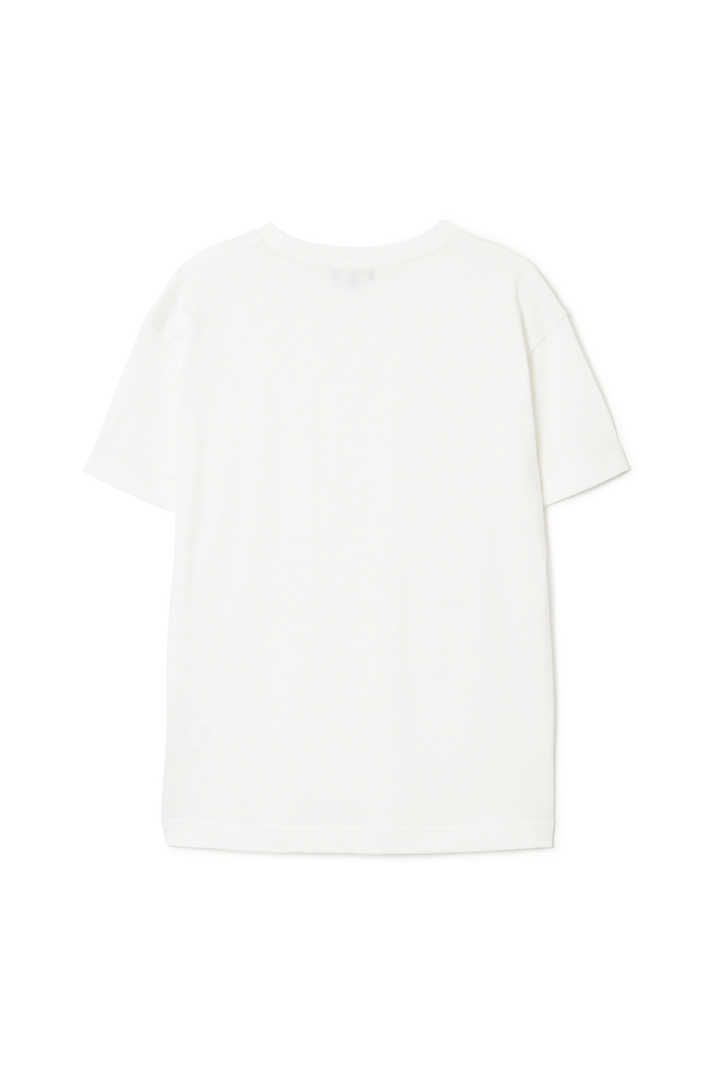 SOFT COTTON JERSEY2
