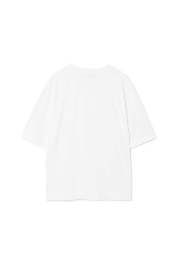 SOFT DENSE COTTON JERSEY2