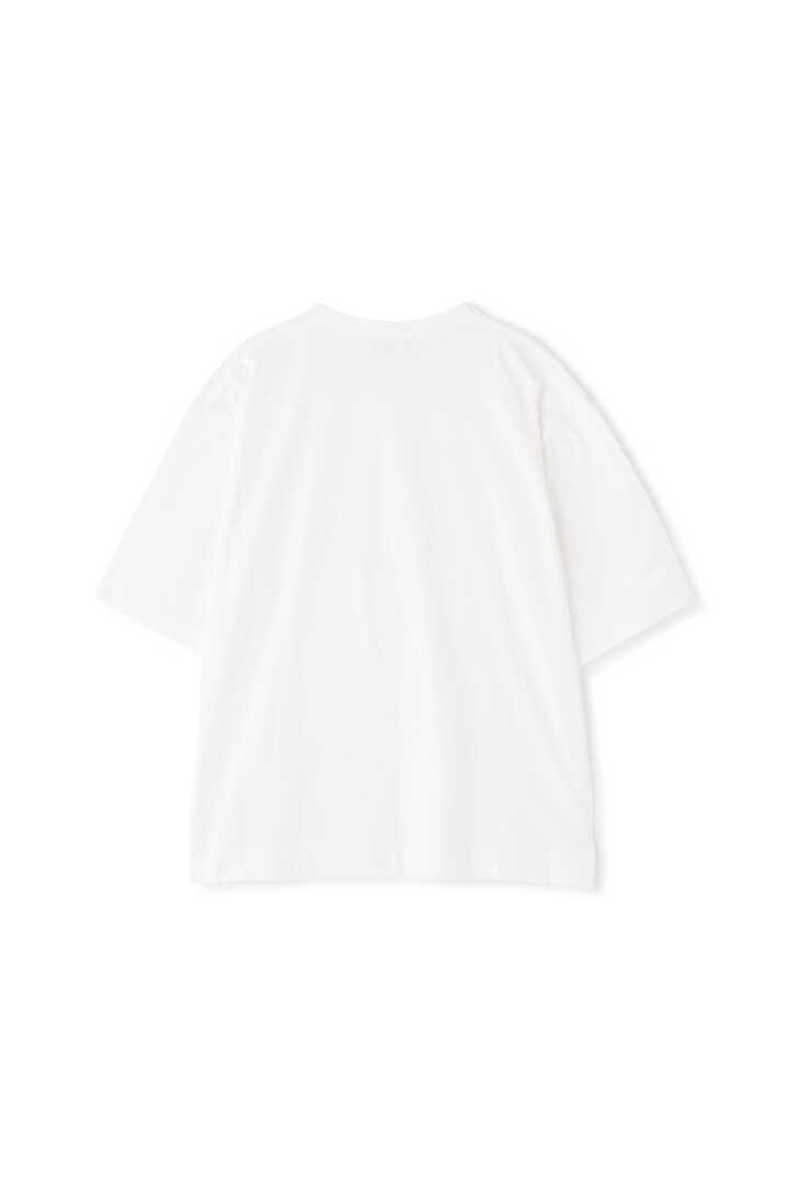 SUPIMA DENSE COTTON JERSEY2