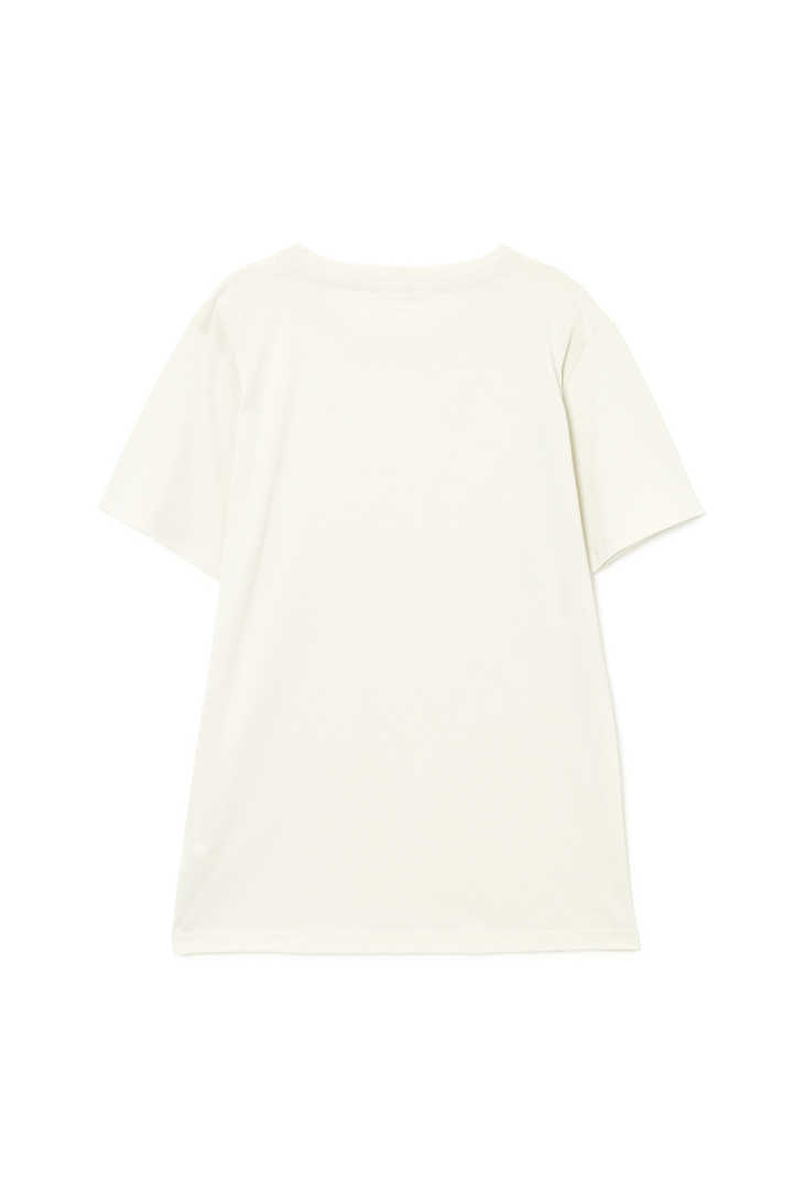 SUPERFINE COTTON JERSEY