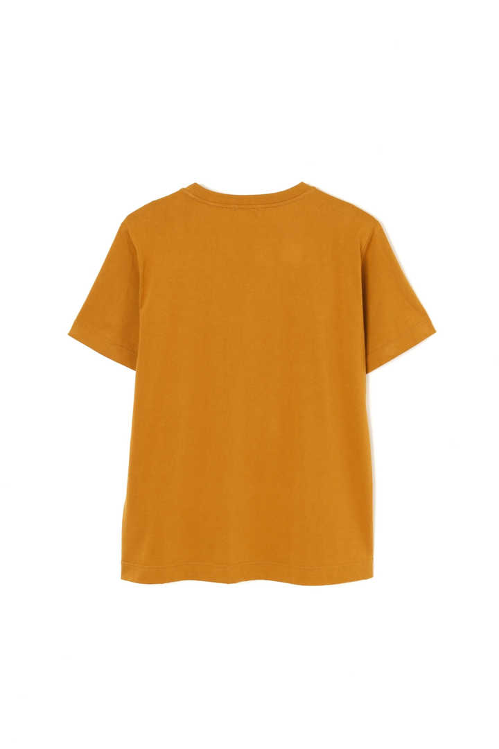 SOFT COTTON JERSEY