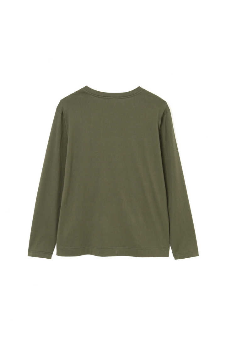 ORGANIC COTTON JERSEY2