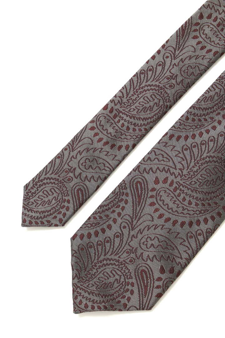 GRAPHIC PAISLEY TIE3