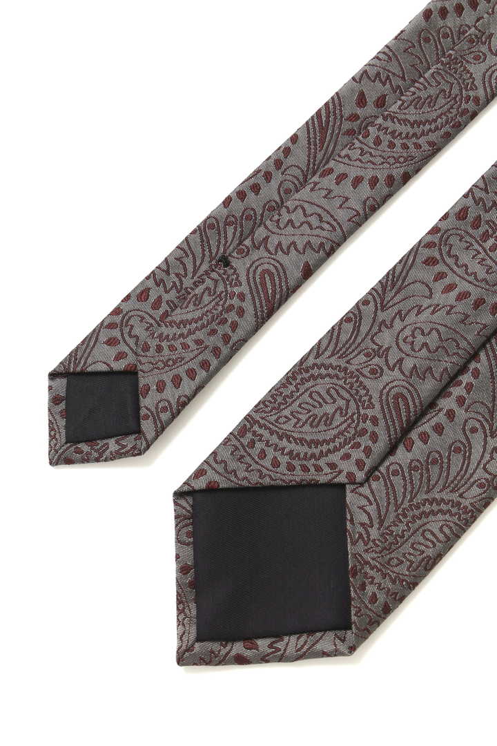 GRAPHIC PAISLEY TIE5