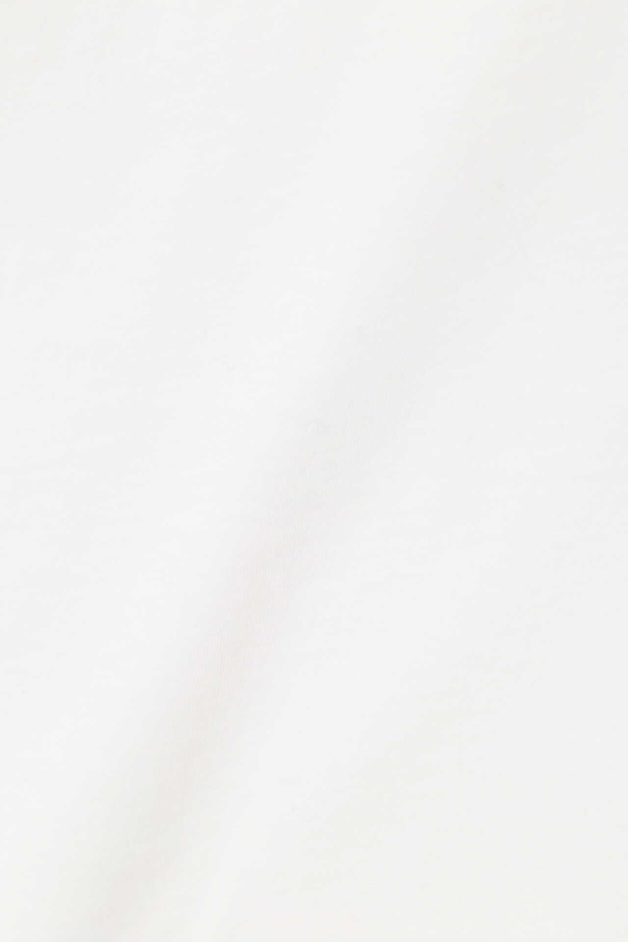 FINE COTTON JERSEY2