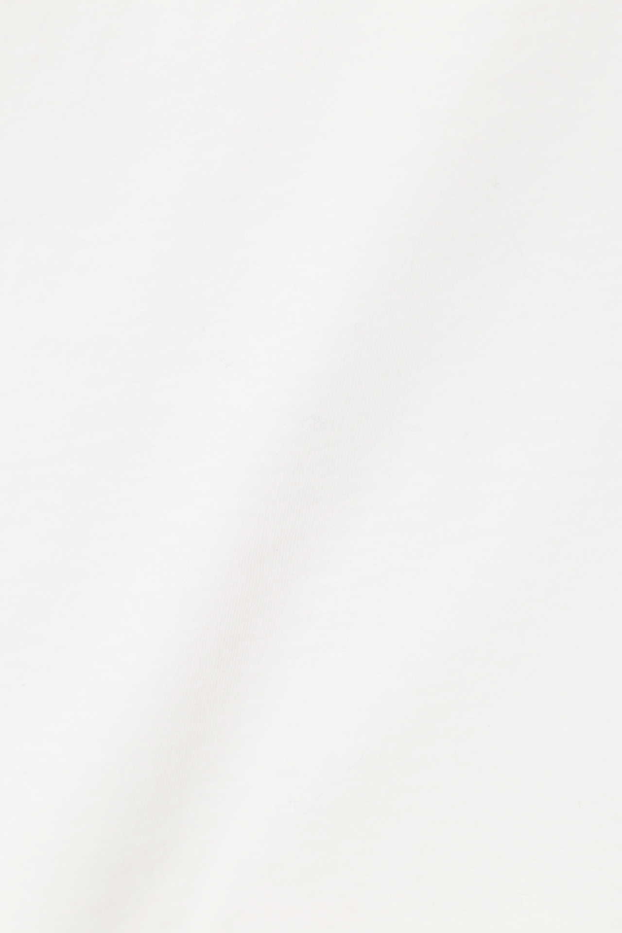 FINE COTTON JERSEY4