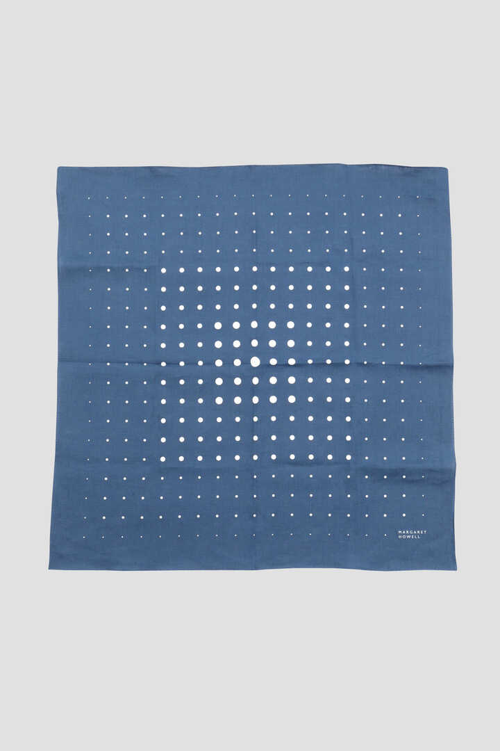 TINY SPOT HANKY1
