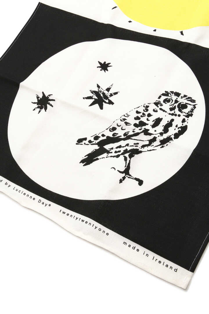 LUCIENNE DAY OWL3