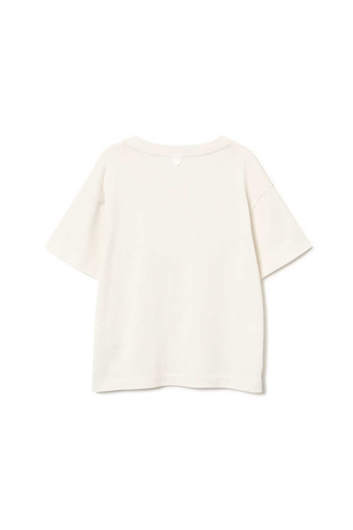 SOFT COTTON JERSEY2