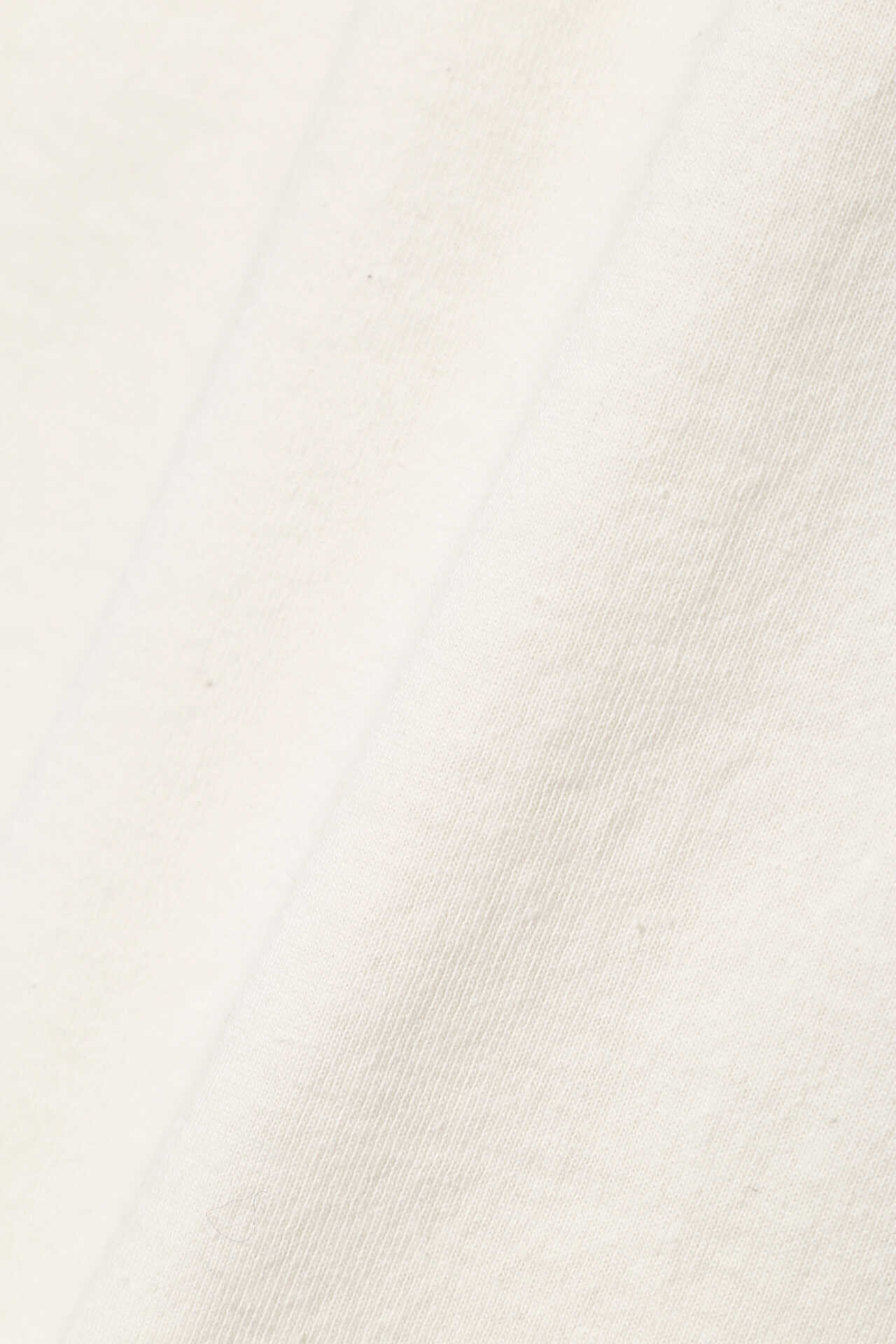GARMENT DYE COTTON JERSEY2