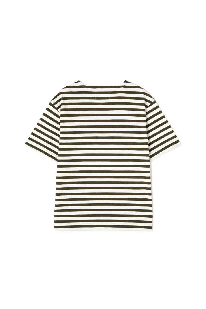 LIGHT STRIPE COTTON JERSEY