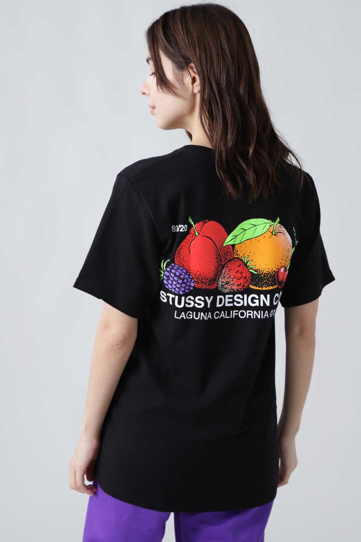 2021新作モデル stussy Tシャツ ecousarecycling.com